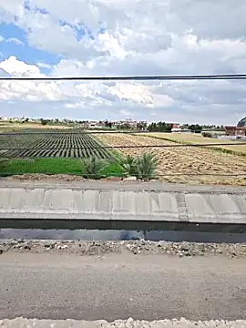 Loly2025 online show from April 7, 2026, 1:22 pm