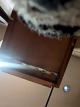 Snapshot of QueenM3 chatting on March 11, 2025, 12:44 am QueenM3 online show from March 11, 2025, 12:44 am