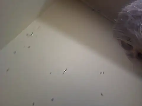 Snapshot of Louna45dv chatting on February 18, 2025, 8:14 pm Louna45dv online show from February 18, 2025, 8:14 pm