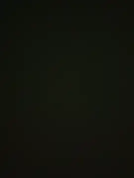 464a-err online show from November 12, 2025, 4:40 pm