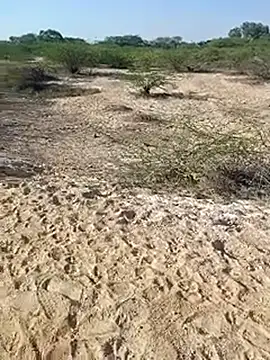 Snapshot of Delhi_BoyBigcock chatting on March 11, 2025, 3:05 am Delhi BoyBigcock online show from March 11, 2025, 3:05 am