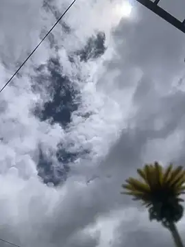 MaxxxSteil online show from November 12, 2025, 3:56 pm