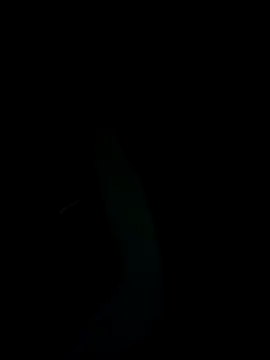 Snapshot of SunnY-0124@xh chatting on February 25, 2025, 5:47 pm SunnY-0124xh online show from February 25, 2025, 5:47 pm