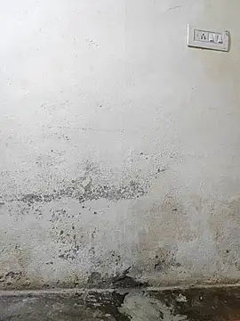 pallu telgu kannada online show from March 4, 2026, 5:30 pm