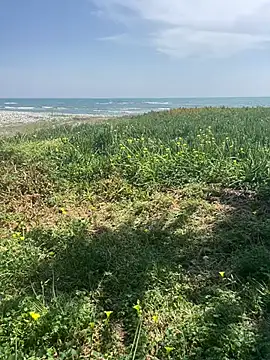 Smallcoco26 online show from March 7, 2025, 9:40 am