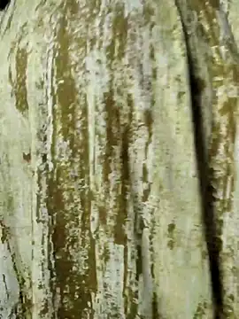 Snapshot of mens_weakness chatting on November 2, 2025, 6:49 am mens weakness online show from November 2, 2025, 6:49 am