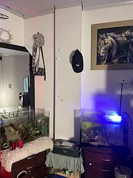 CRAZY-BOY99 online show from January 11, 2026, 7:57 am