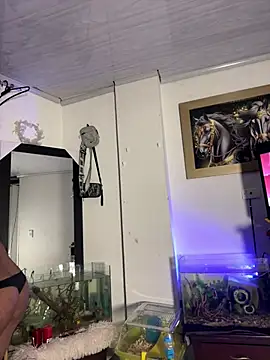 CRAZY-BOY99 online show from January 17, 2026, 9:03 am