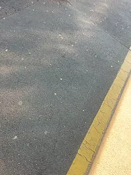 Snapshot of sohasenki chatting on April 4, 2026, 2:03 pm sohasenki online show from April 4, 2026, 2:03 pm