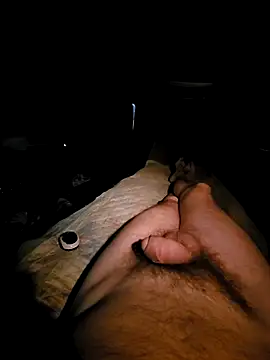 Snapshot of aleksis1313 chatting on March 19, 2025, 5:50 pm aleksis1313 online show from March 19, 2025, 5:50 pm