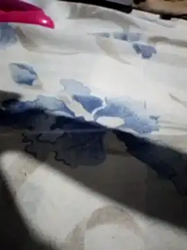 Snapshot of Sandra42 chatting on November 14, 2025, 9:52 am Sandra42 online show from November 14, 2025, 9:52 am