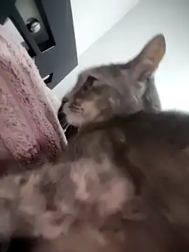 mialorents online show from November 23, 2025, 6:52 pm