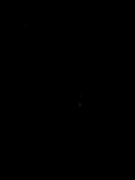 papicook online show from May 6, 2026, 4:41 am