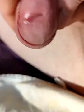 Snapshot of --Serhei-- chatting on March 1, 2026, 11:01 am --Serhei-- online show from March 1, 2026, 11:01 am