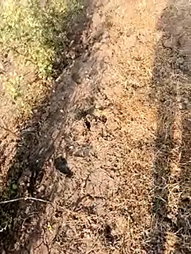 himvilohi08 online show from February 28, 2026, 3:07 am