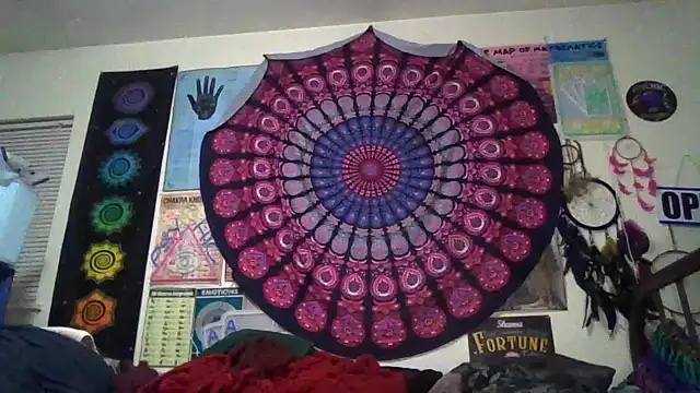 GardeniaFields online show from March 20, 2026, 9:36 am