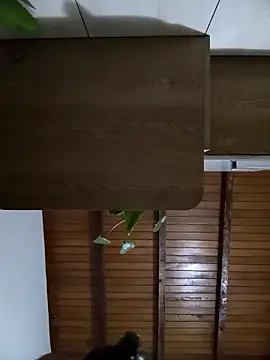 Snapshot of Sexi_girl29 chatting on October 2, 2025, 9:16 am Sexi girl29 online show from October 2, 2025, 9:16 am