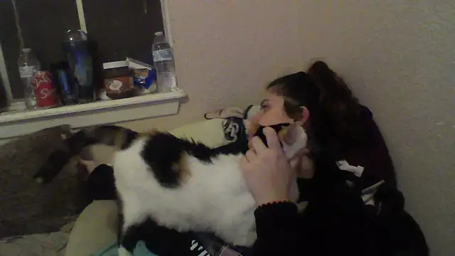 VoidsCult online show from March 11, 2025, 4:54 am