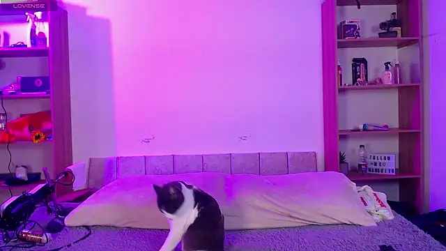 Soy mangx online show from January 11, 2026, 3:00 am