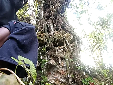 rasvinchi online show from March 29, 2026, 11:54 am