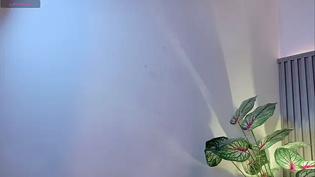 TiffanyWalk online show from November 27, 2025, 11:34 am