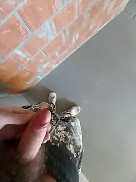 MaksDzubaV online show from March 7, 2026, 11:18 am