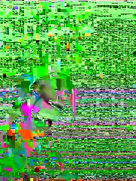 HenriquePhn online show from February 6, 2026, 3:00 am