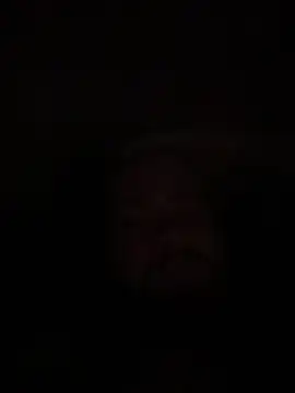 Snapshot of Bear2323 chatting on May 20, 2026, 4:07 am Bear2323 online show from May 20, 2026, 4:07 am