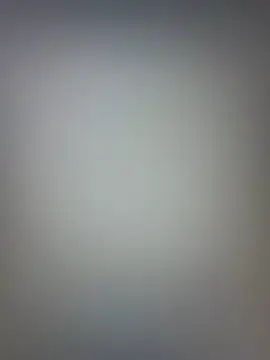 snehashreyatamil online show from February 18, 2026, 12:01 pm