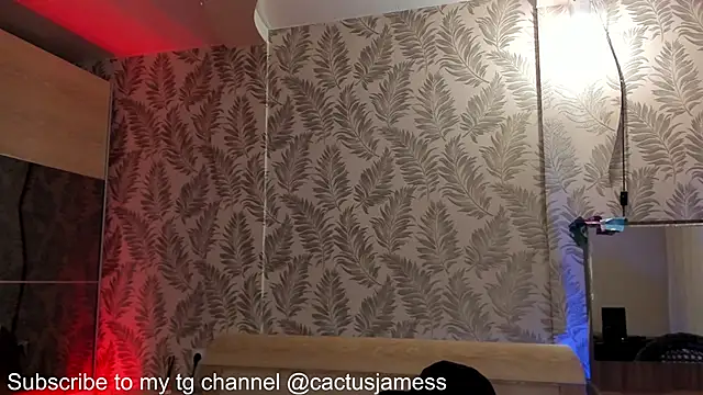 Snapshot of Cactus__James chatting on October 3, 2025, 9:23 pm Cactus  James online show from October 3, 2025, 9:23 pm