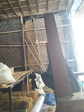 Snapshot of hot_integer chatting on February 21, 2026, 2:56 am hot integer online show from February 21, 2026, 2:56 am