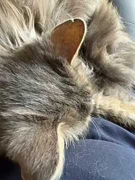 Max 965 online show from March 30, 2026, 10:27 am