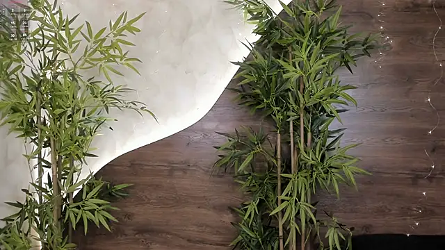 mia lacy  online show from November 23, 2025, 7:57 pm