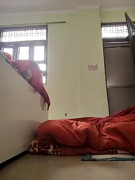 Desi Bhabi 01 online show from February 4, 2026, 3:34 am