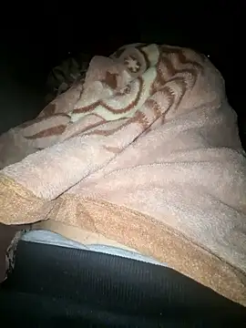 Snapshot of amirzinou chatting on October 26, 2025, 10:58 pm amirzinou online show from October 26, 2025, 10:58 pm