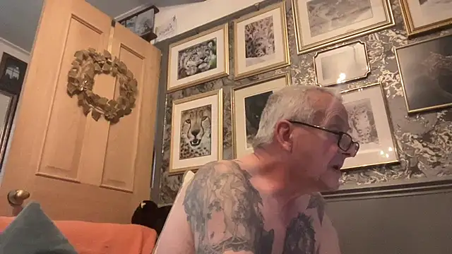 poggles online show from November 29, 2025, 12:41 pm