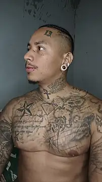 David tatto1 online show from March 13, 2026, 3:02 am