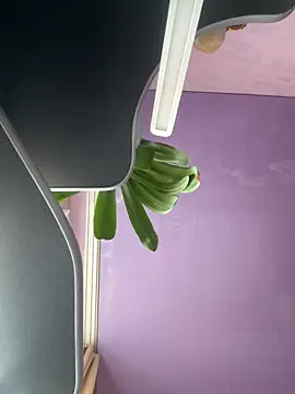 Soft Pleasure online show from October 22, 2025, 10:59 am