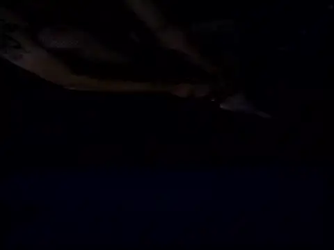 Snapshot of Crossedsissy chatting on December 15, 2025, 5:34 am Crossedsissy online show from December 15, 2025, 5:34 am