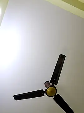 radhika2 online show from November 5, 2025, 5:13 pm