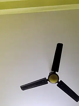 radhika2 online show from December 4, 2025, 6:16 pm