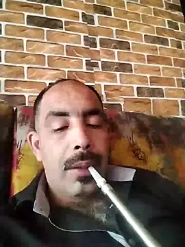 Snapshot of salimbasha chatting on May 17, 2026, 8:55 am salimbasha online show from May 17, 2026, 8:55 am