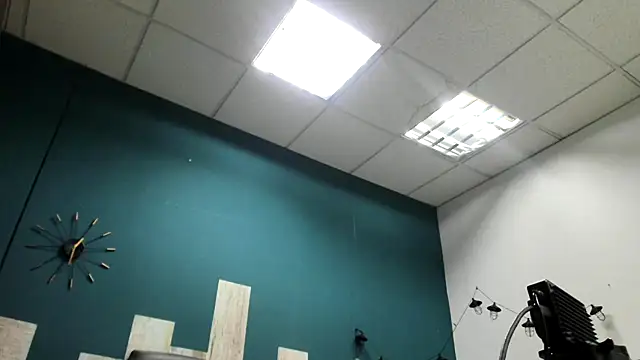 Ian1  online show from November 22, 2025, 2:16 pm