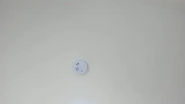 Snapshot of pamemiller1 chatting on October 23, 2025, 2:33 am pamemiller1 online show from October 23, 2025, 2:33 am