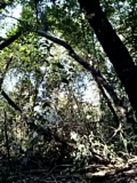 KalendaXL online show from April 4, 2026, 2:47 pm