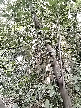 KalendaXL online show from April 5, 2026, 4:15 pm