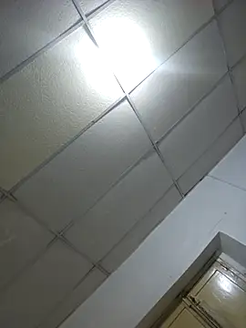 sexyboy fox online show from April 28, 2026, 2:49 am