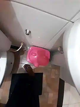 nego-insaciavel online show from November 17, 2025, 11:38 am