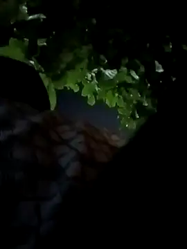 Rajopensex 955 online show from March 21, 2026, 6:22 pm