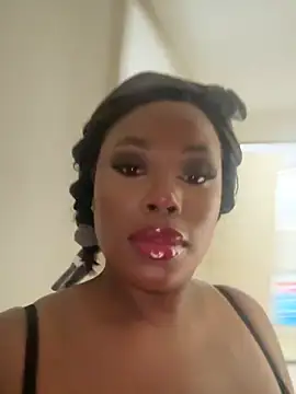 Elie-3 online show from February 17, 2026, 2:30 am